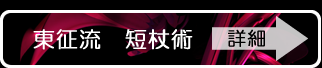 東征流　短杖術